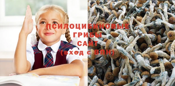 дживик Абаза