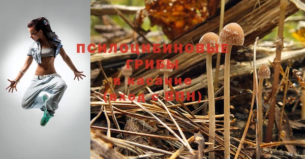 дживик Абаза