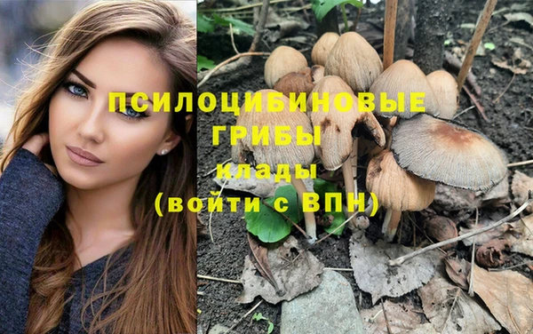 винт Абинск