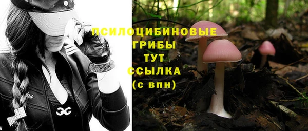 каннабис Алексин