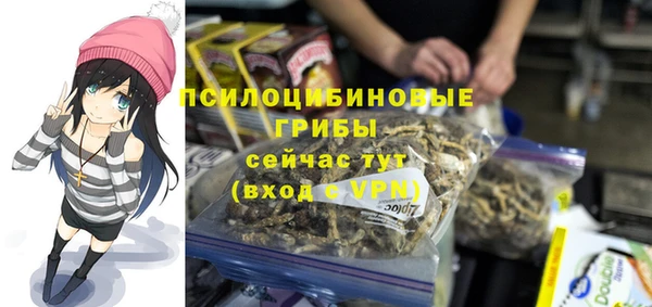 2c-b Абдулино