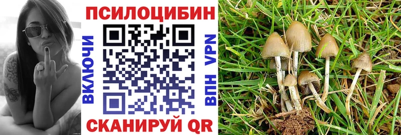 Псилоцибиновые грибы MAGIC MUSHROOMS площадка как зайти Темрюк