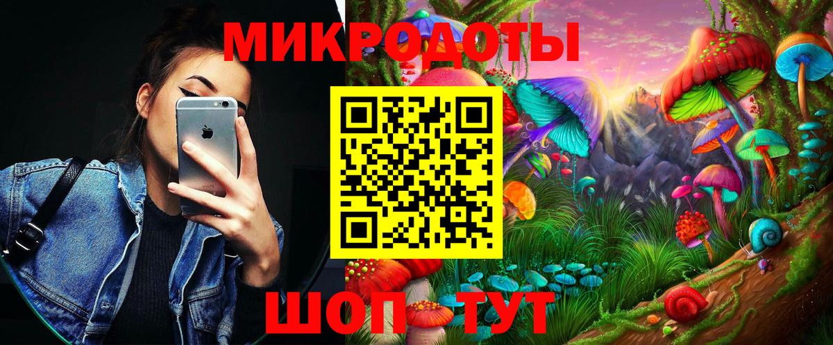 Темрюк  Галлюциногенные грибы Psilocybe  Галлюциногенные грибы Psilocybe  Вход с VPN 