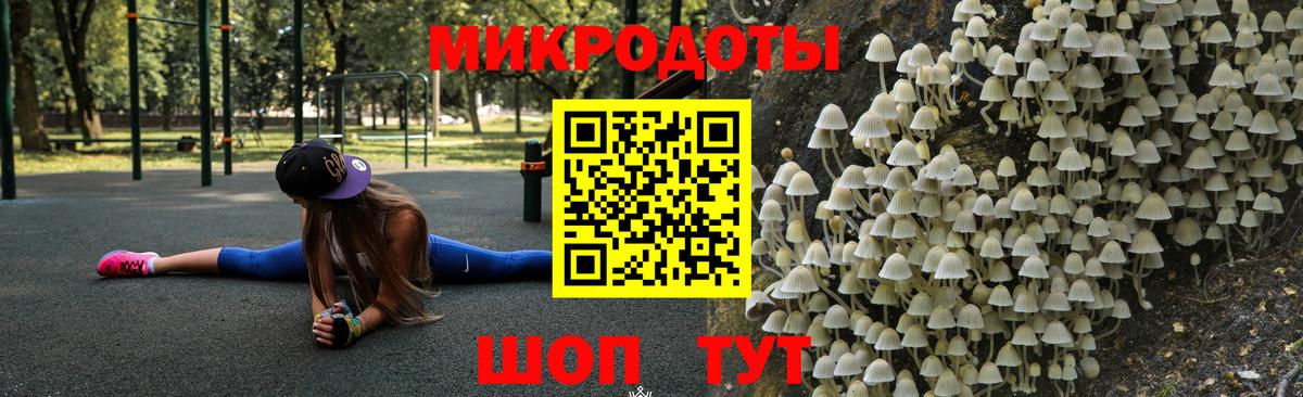 Галлюциногенные грибы Psilocybe Темрюк