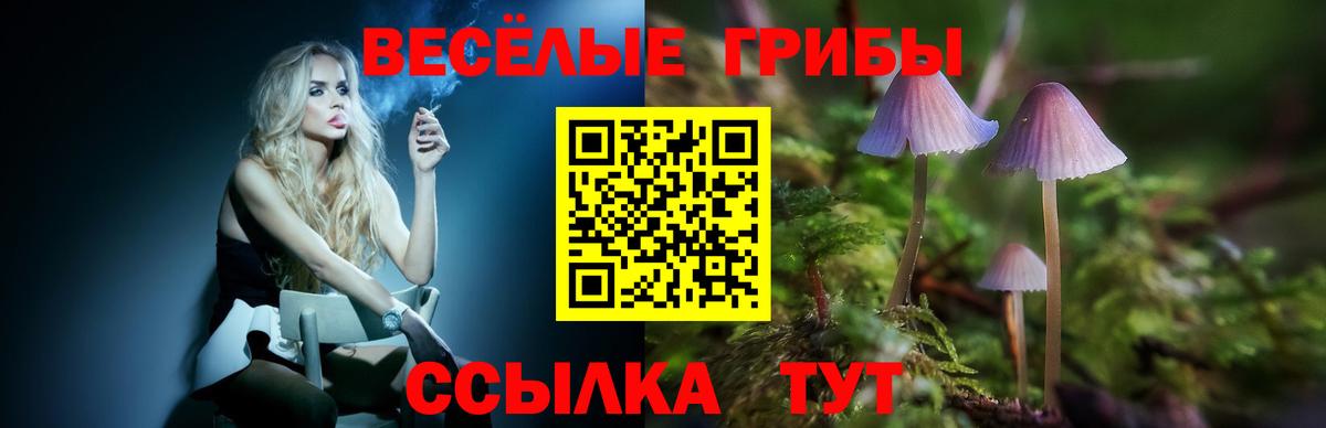 Лсд 25  Гашиш  Конопля  ГАШИШ  Вход с VPN  Темрюк  Меф  